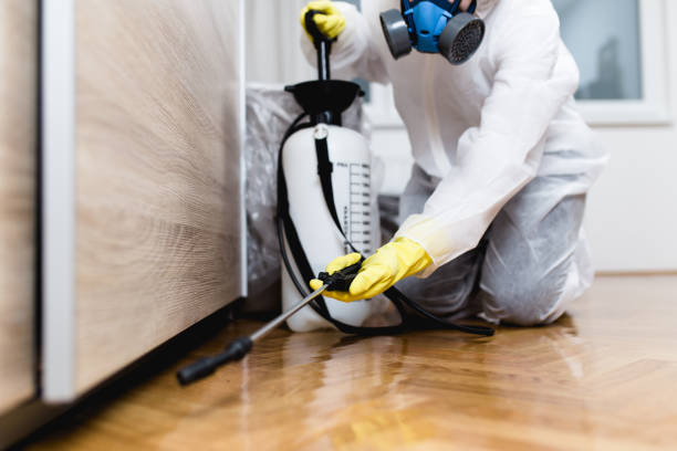 Best Flea Control Services  in Lebanon, OH