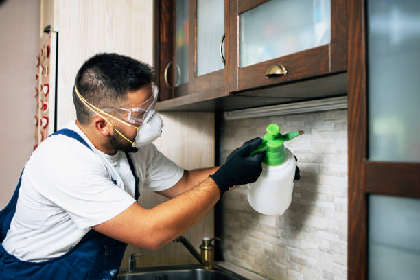 Pest Prevention Services in Lebanon, OH