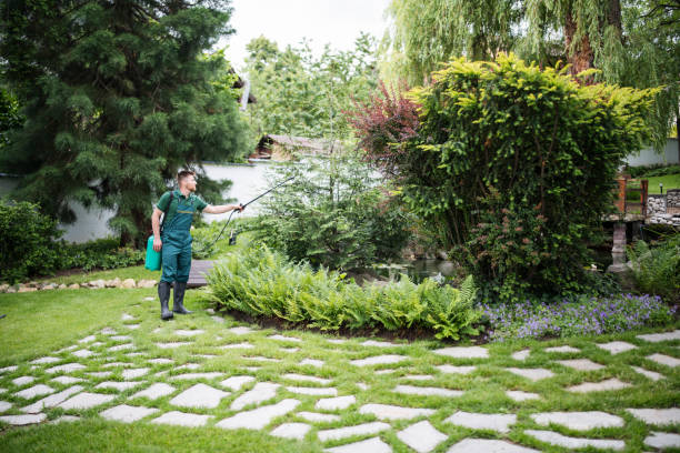 Best Best Pest Control Companies  in Lebanon, OH