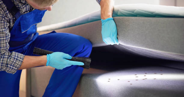 Best Pest Inspection Near Me  in Lebanon, OH